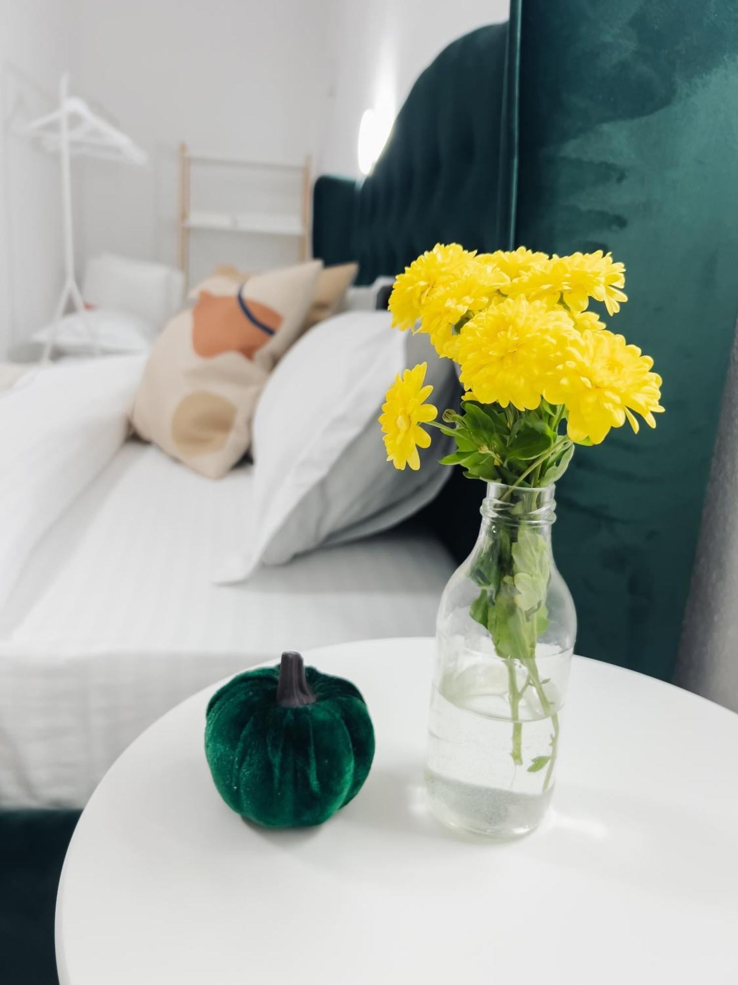 Subcetate Apartment ซิวิโชอารา ภายนอก รูปภาพ